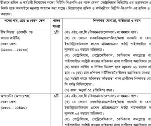 বাংলাদেশ পেট্রোলিয়াম কর্পোরেশন নিয়োগ বিজ্ঞপ্তি PLC Job Circular 2025